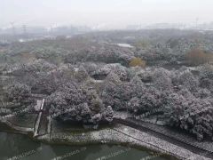 九方附近 大型餐饮旺铺出租